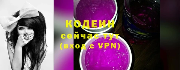 2c-b Каменка