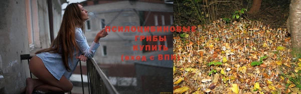 2c-b Каменка