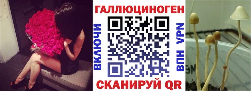 Псилоцибиновые грибы Cubensis  Купить закладки  Сегежа 