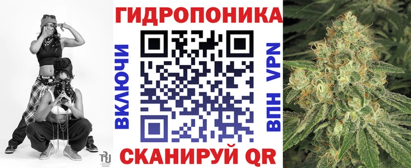 Канабис семена  Купить где  Сегежа 